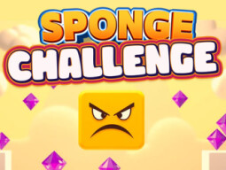 Sponge Challenge thumbnail