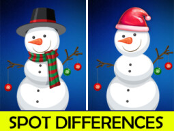 Christmas Spot differences thumbnail