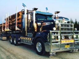 American City Truck Transporting thumbnail