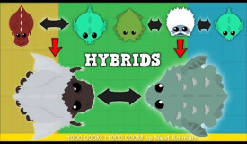 MOPE.IO ANIMAL HYBRIDS! NEW HYBRID DRAGON/KRAKEN/YETI/T-REX IN MOPE.IO! [Mopeio]