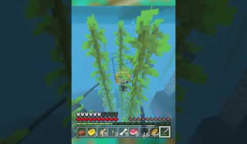 OCEANARIO - Nadando com ARRAIAS (MINECRAFT) #shorts