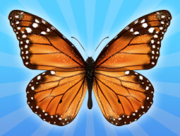 MergeButerfly: 2048! thumbnail