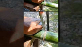 bamboo gun#diyslingshot #woodworking#catapult#slingshot #bamboogun#hunting#surviv
