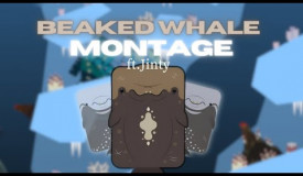 Beaked Whale Montage Ft.Jinty/ deeeep io