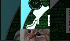 INDIAN HACKERS SEIZE CAPTAIN'S MAP PAPER.IO 2 #paperio2 #cat #games #paper. Play this game for free on Grizix.com!