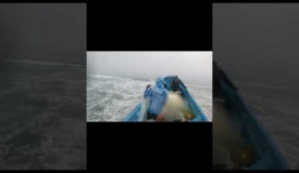 #youtubeshorts #fishing #oceano #new #gopro #oceanario #viral #shark #fish #viralvideo. Play this game for free on Grizix.com!