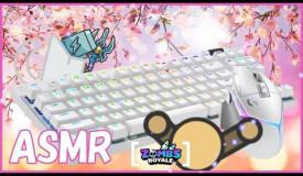 Keyboard + Mouse Sounds ASMR | ZombsRoyale