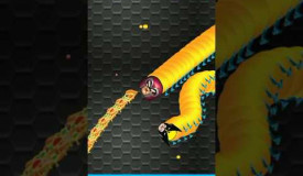 Worms Zone.io Amazing Snake Slither Games #wormszone #games #snake #funny #gaming #snakegame