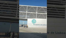 OCEANARIO DE LISBOA #satisfyingvideo #youtubeshorts #shorts #trending #ad #adventure #summer #happy. Play this game for free on Grizix.com!