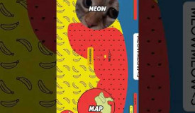 WATERMELON REBELLION TAKES OVER THANOS' PAPER.IO MAP?/CAT BOMBASTIC #trending #paperio2