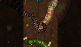 Little Big Snake rebel kill #shorts #littlebigsnake #wormszoneio #wormszone #saampwalagame #saamp. Play this game for free on Grizix.com!