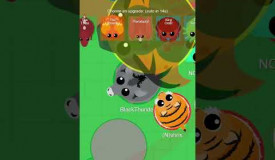 Mope.io Kill of the Day 2. Play this game for free on Grizix.com!