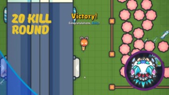 Twenty kill round! // Zombsroyale.io