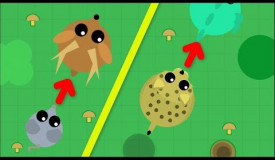 Mope.io - ONLY TAILBITES // Mope.io Very Hard Challenge.. How Far Will i do it