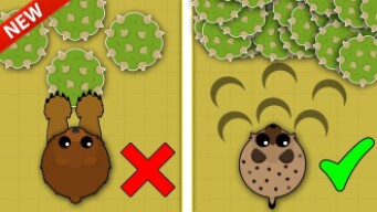 MOPE.IO / NEW BEST WAY TO FARM XP & LEVEL UP FAST! / NEW XP GLITCH & XP BEST METHODS!
