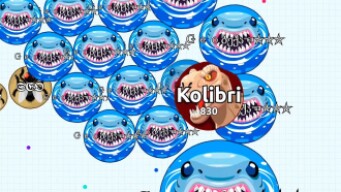 INSANE AGARIO SOLO FIGHTS ( Agar.io Solo Gameplay )