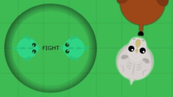 WHITE RHINO KILLS MAMMOTH!! // TRANSPARENT 1v1 UPDATE! // MOPE.IO