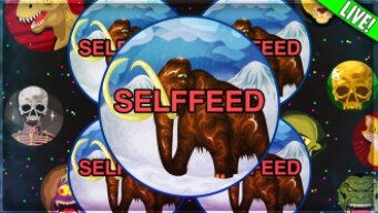 AGMA.IO SELFFEED SERVER - *Short stream on the selffeed server*