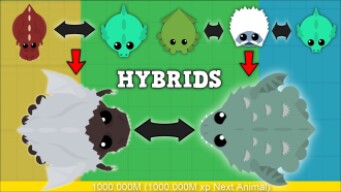 MOPE.IO ANIMAL HYBRIDS! NEW HYBRID DRAGON/KRAKEN/YETI/T-REX IN MOPE.IO! [Mopeio]