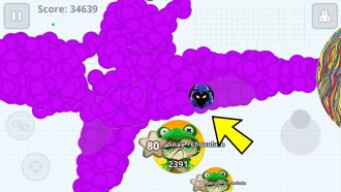 SOLO + MACRO = INVINCIBLE