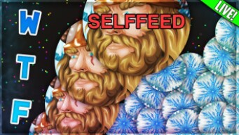 AGMA.IO SELFFEED SERVER RELEASE STREAM *Playing with Fans*