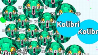 ARE YOU TROLLING ME? INSANE REVERSE DOUBLE CANNON SPLIT ( Agar.io Solo Gameplay )