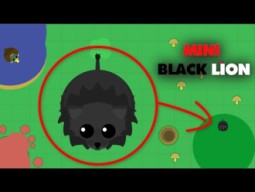 Mope.io ULTRA RARE TINY BLACK LION - Road To 0 XP