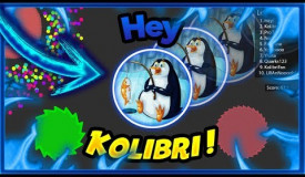 HEY KOLIBRI! *VirusFarm* | AGMA.IO