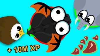 How to TEAM in MOPE.IO and get a BLACK DRAGON