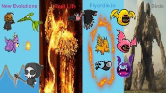 Flyordie.io Birds in Real Life - All New Evolutions