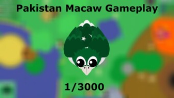 PAKISTAN MACAW GAMEPLAY!! // DONKEY KILLS ELEPHANT 2X! // BETA.MOPE.IO