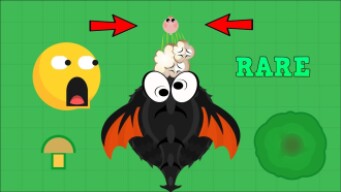 MOPE.IO ULTRA RARE 0 XP MINI STINKY KILLS KING DRAGON! Mope.io Funny and Best Moments! (Mopeio)
