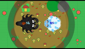 MOPE.IO EPIC FIGHT WITH PROS // 1V1 WITH SK AND MORE