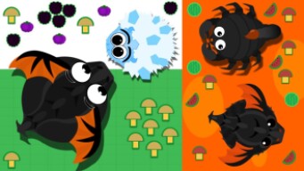 IM HELPING SOMEONE TO KING DRAGON IN MOPE