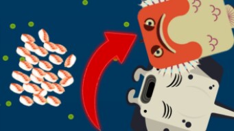 Manta + Stonefish | Deeeep.io | LeMing , KopoL