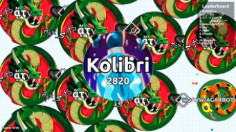 THE INSANE SOLO REVENGE TO SAVAGES ( Epic Agar.io Gameplay )