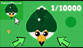 MOPE.IO ULTRA RARE PAKISTAN TOUCAN GAMEPLAY! RAREST MOPE.IO ANIMAL (1/3000 Chance)