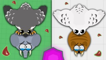 LEGENDARY WILD MOPE TROLLING | FALCON & OWL TROLLS EVERYONE IN MOPE.IO