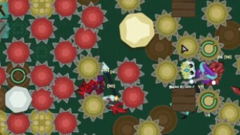 Starve.io Ruining 29 Million