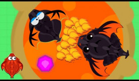 VERY OP KING DRAGON KILLED BLACK DRAGON EASILY in mope.io // can u survive?