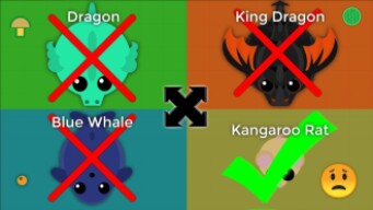 MOPE.IO WORST ANIMAL CHALLENGE! // SOLO SERVER TAKEOVER! (Mopeio BEST Challenge)