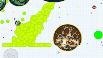Agar.io Mobile | No Skin = No Skills ?