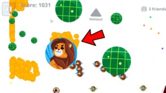 5 FACTS ABOUT MACRO! - +GIVEAWAY ( AGAR.IO MOBILE )