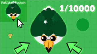 MOPE.IO ULTRA RARE PAKISTAN TOUCAN GAMEPLAY! RAREST MOPE.IO ANIMAL (1/3000 Chance)
