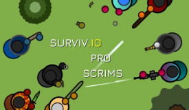 Scrims VS TD! Pro Surviv.io