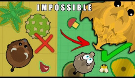 *IMPOSSIBLE* UPGRADING WITH ONLY TAIL BITES FROM 0 XP TO 1 MIL XP IN MOPE.IO