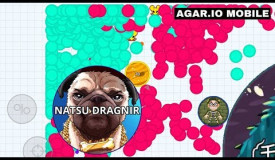 MASS IN CORNER "AFK TROLLING!" FUNNY + BEST GAMEPLAY!! (Agar.io Mobile)