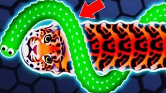 Wormax.io Best moments! NOOB vs PRO vs HACKER