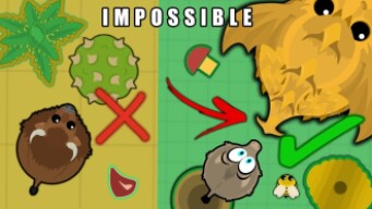 *IMPOSSIBLE* UPGRADING WITH ONLY TAIL BITES FROM 0 XP TO 1 MIL XP IN MOPE.IO