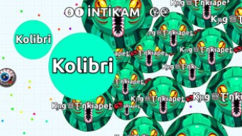 FASTEST SOLO AGARIO REVENGE ( Agar.io Solo & Team Gameplay )